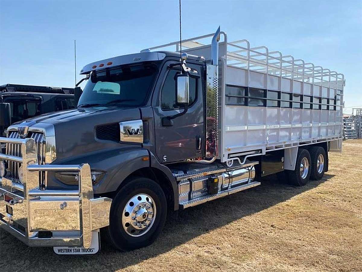 Harbrae Herefords livestock transport